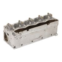 Zylinderkopf Neu mit Nockenwelle und Ventilen OE2991607