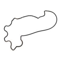 Ventildeckeldichtung