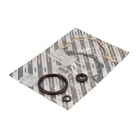 Dichtungssatz Kurbelgehäuse