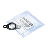 Dichtung für die Einspritzpumpe