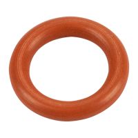 Dichtring Ölmessstab unten