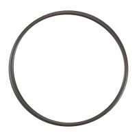 Dichtring an Einspritzpumpe