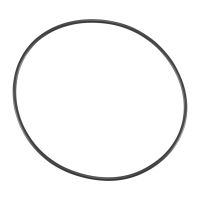 Dichtring am Luftfiltergehäuse