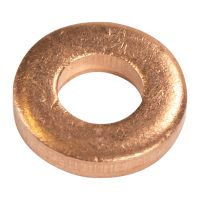 Dichtring, Einspritzventil