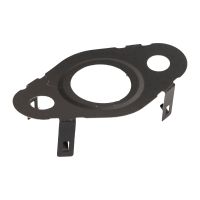 Dichtung Kühlmittelflansch