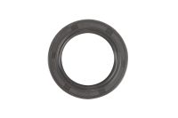 Wellendichtring Nockenwelle