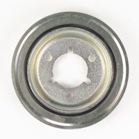 Riemenscheiben KIT NTN-SNR Schwingungsdämpfer