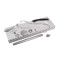 Steuerkettensatz mit Dichtung