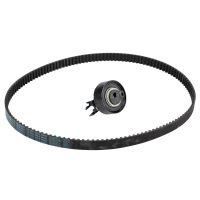 Zahnriemensatz mit 1 Umlenkrolle