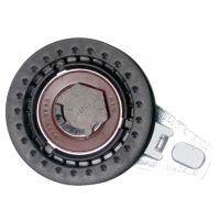 Zahnriemenspannrolle mit Grundplatte