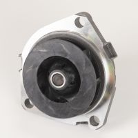 Zahnriemensatz mit Wasserpumpe DAYCO mit Longlife-Riemen