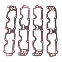 Nockenwellenkastendichtung