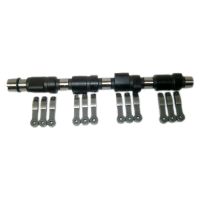 Nockenwelle mit Schlepphebel