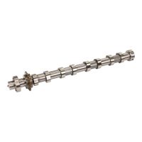 Nockenwelle 22 Zähne Steuerkettenteilung 8mm