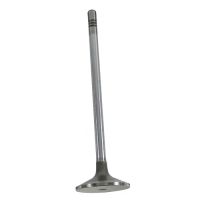 Einlaßventil 120 xØ32,4 mm Ø6 mm 030 Grad