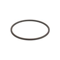 Dichtung für den Kraftstofffilter