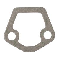 Benzinpumpendichtung Fire