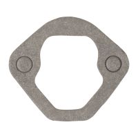 Benzinpumpendichtung