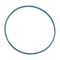 Dichtung Kraftstoffpumpe im Tank