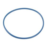 Dichtung Kraftstoffpumpe im Tank