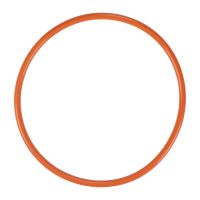 Dichtung Kraftstoffpumpe am Tank