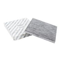 Innenraum Aktivkohlefilter