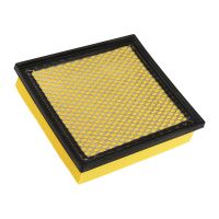 Luftfiltereinsatz eckig L=245 B=223 H=55