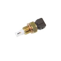 Lufttemperaturfühler Einspritzanlage