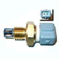 Lufttemperaturfühler Einspritzanlage