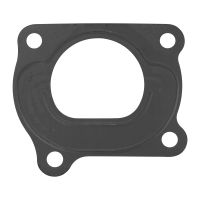 Drosselklappendichtung