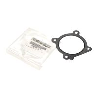 Dichtung Drosselklappe