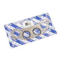 Ansaug-Auspuffkrümmerdichtung