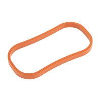 Ansaugkrümmerdichtungsring Original FCA