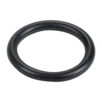 Ansaugbrücke Dichtung