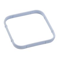 Dichtring Ansaugkrümmer