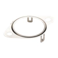 Dichtung EGR-Ventil Rohr Iveco OE