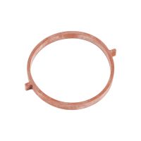 Dichtung, Drosselklappenstutzen