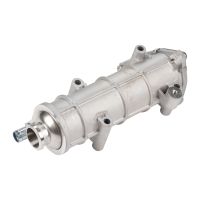 Wärmetauscher vor AGR / EGR-Ventil