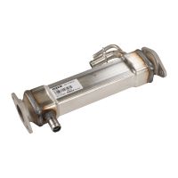 Wärmetauscher vor AGR / EGR-Ventil