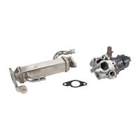 EGR-Ventil mit Wärmetauscherr