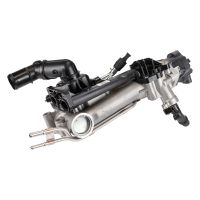 Wärmetauscher, Kühler, Abgasrückführung