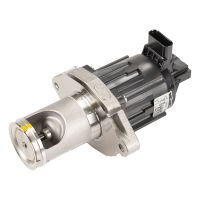 Drosselklappe mit AGR-Ventil