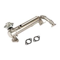 Wärmetauscher vor AGR / EGR-Ventil