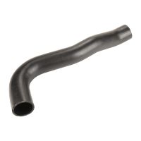 Ladeluftschlauch unten