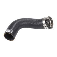 Ladeluftschlauch Einlass