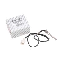 Temperatursensor Abgasdruck Rußfilter