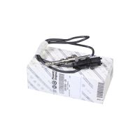 Abgastemperatur Sensor