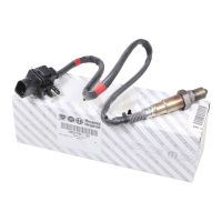 Lambda-Sonde Regelsonde