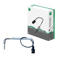 Sensor Abgastemperatur