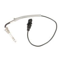 Sensor Abgastemperatur